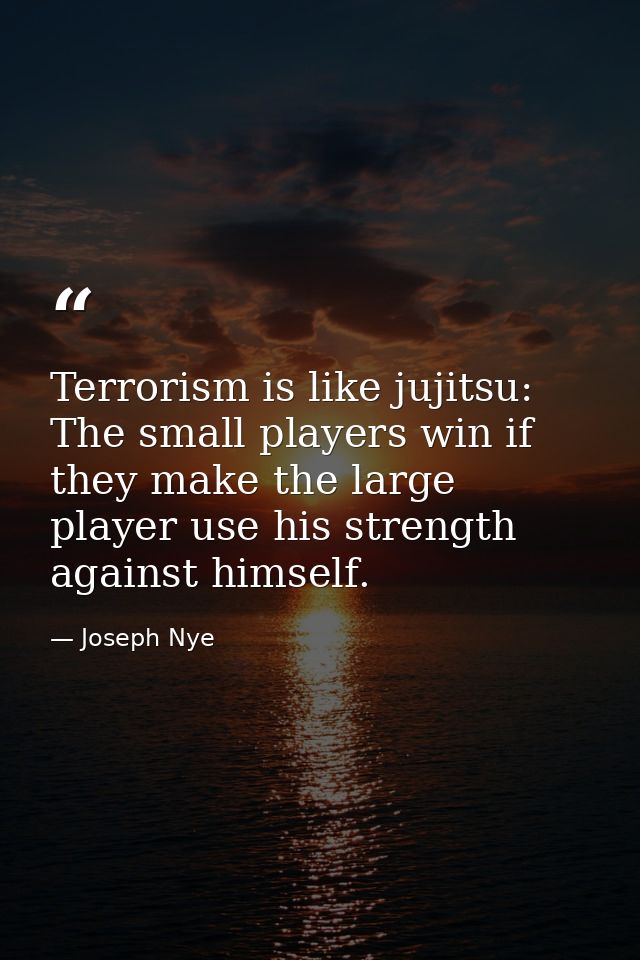 Terrorism is like jujitsu: The small players win if they make the large player use his strength against himself. — Joseph Nye
