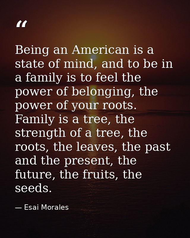 Being an American is a state of mind, and to be in a family is to feel the power of belonging, the power of your roots.  — Esai Morales