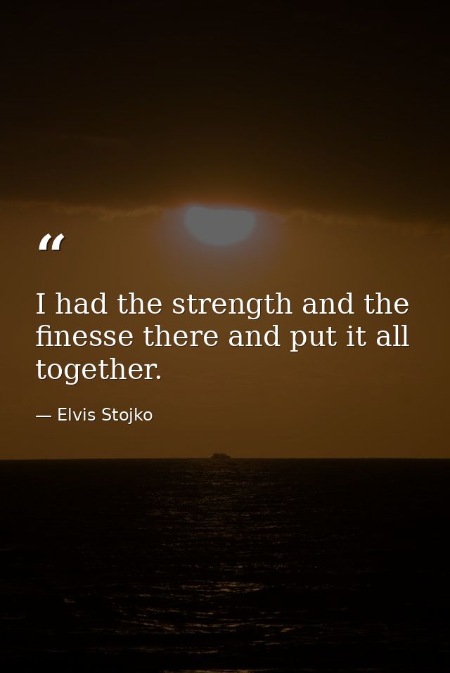 I had the strength and the finesse there and put it all together. — Elvis Stojko