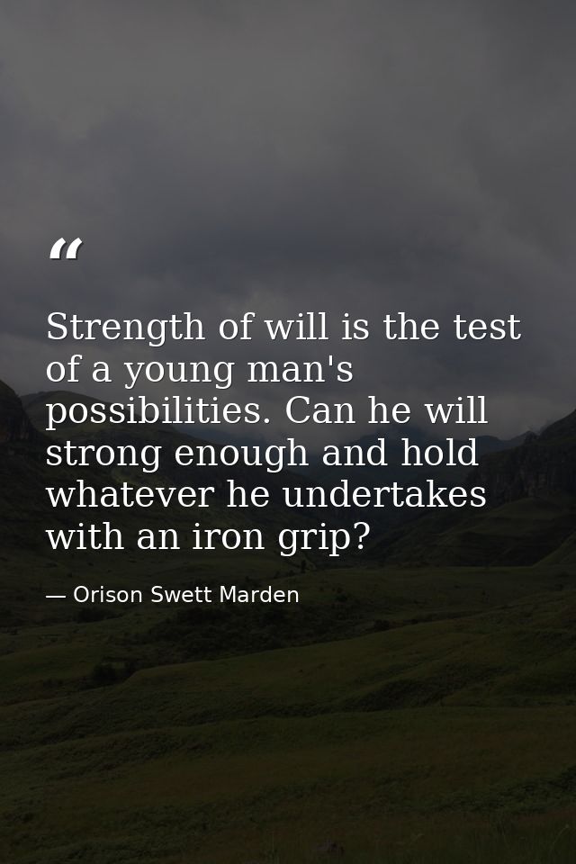 Strength of will is the test of a young man's possibilities. Can he will strong enough and hold whatever he undertakes w — Orison Swett Marden