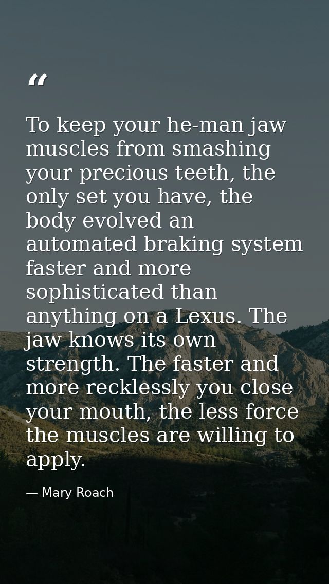 To keep your he-man jaw muscles from smashing your precious teeth, the only set you have, the body evolved an automated  — Mary Roach
