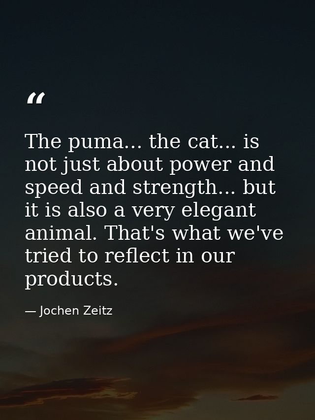 The puma... the cat... is not just about power and speed and strength... but it is also a very elegant animal. That's wh — Jochen Zeitz