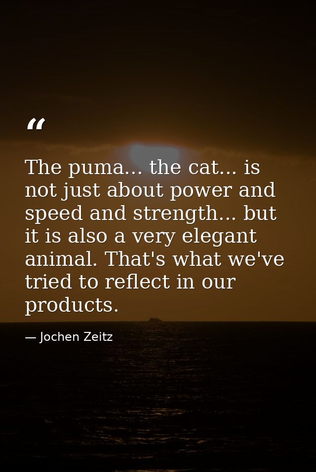 The puma... the cat... is not just about power and speed and strength... but it is also a very elegant animal. That's wh — Jochen Zeitz