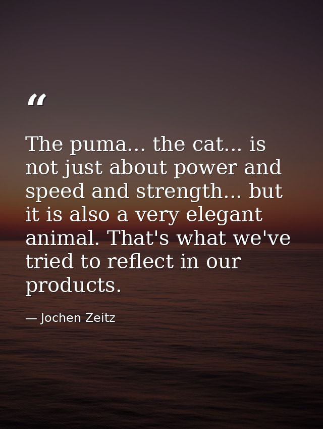 The puma... the cat... is not just about power and speed and strength... but it is also a very elegant animal. That's wh — Jochen Zeitz