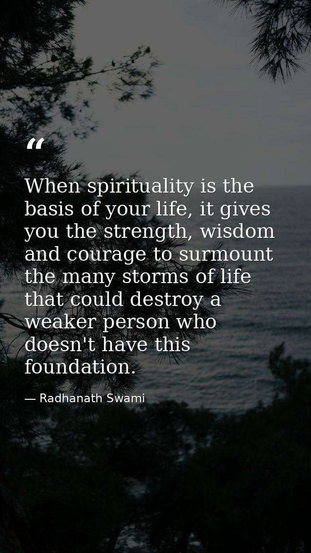 When spirituality is the basis of your life, it gives you the strength, wisdom and courage to surmount the many storms o — Radhanath Swami
