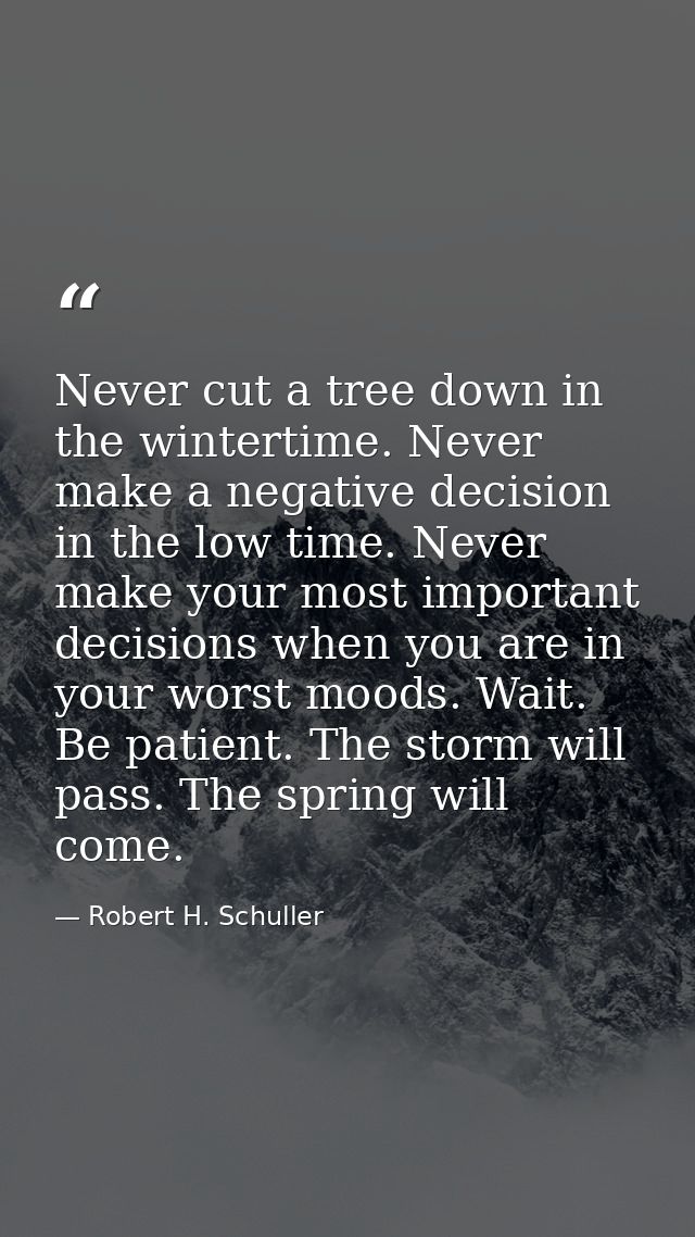 Never cut a tree down in the wintertime. Never make a negative decision in the low time. Never make your most important  — Robert H. Schuller