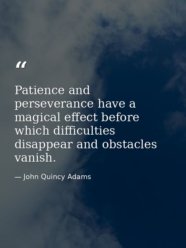 Patience and perseverance have a magical effect before which difficulties disappear and obstacles vanish. — John Quincy Adams