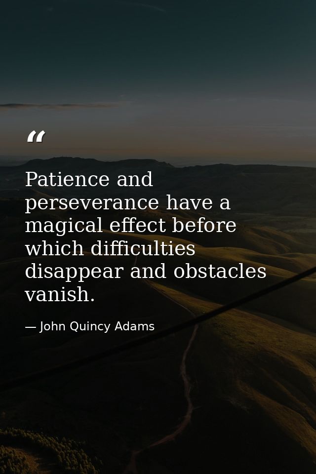 Patience and perseverance have a magical effect before which difficulties disappear and obstacles vanish. — John Quincy Adams