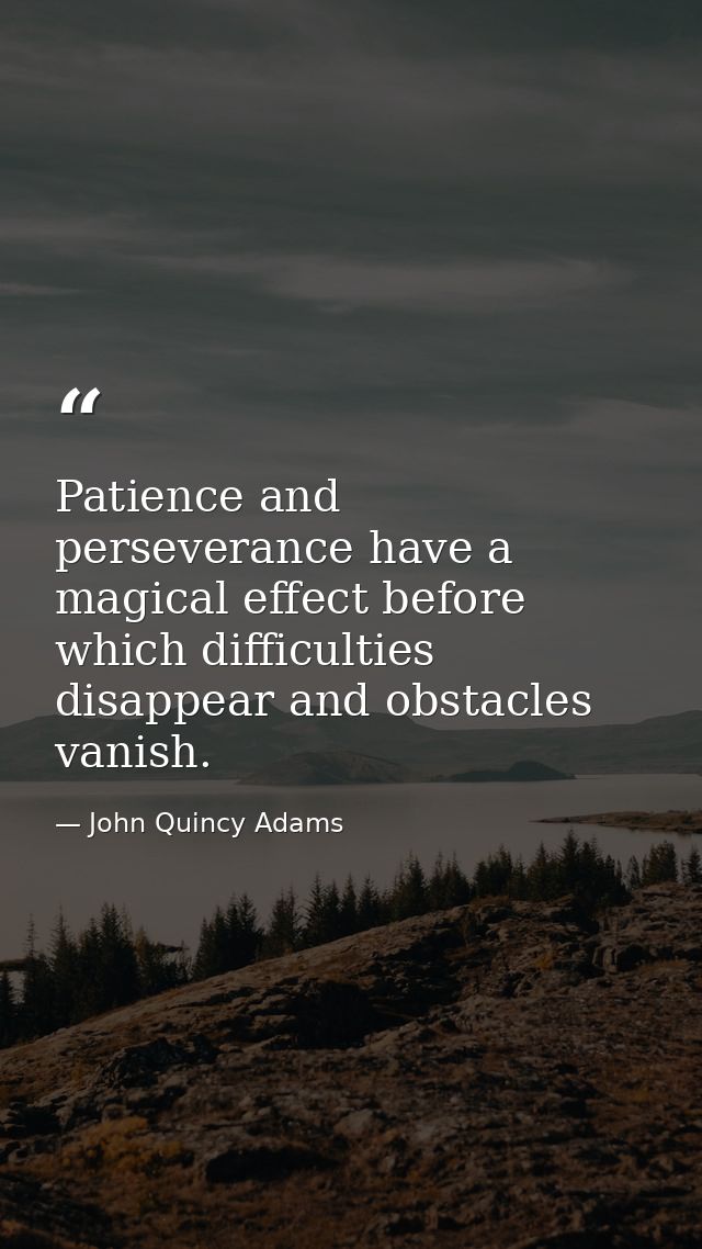 Patience and perseverance have a magical effect before which difficulties disappear and obstacles vanish. — John Quincy Adams