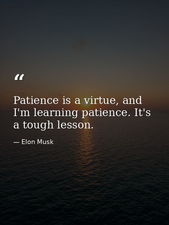 Patience is a virtue, and I'm learning patience. It's a tough lesson. — Elon Musk