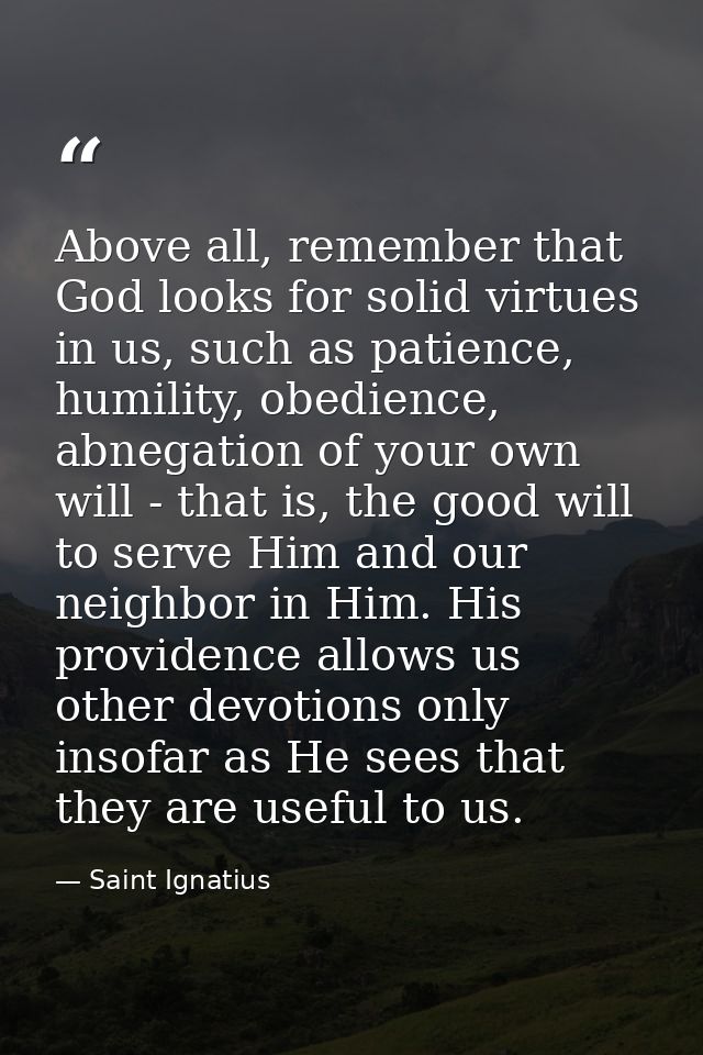 Above all, remember that God looks for solid virtues in us, such as patience, humility, obedience, abnegation of your ow — Saint Ignatius
