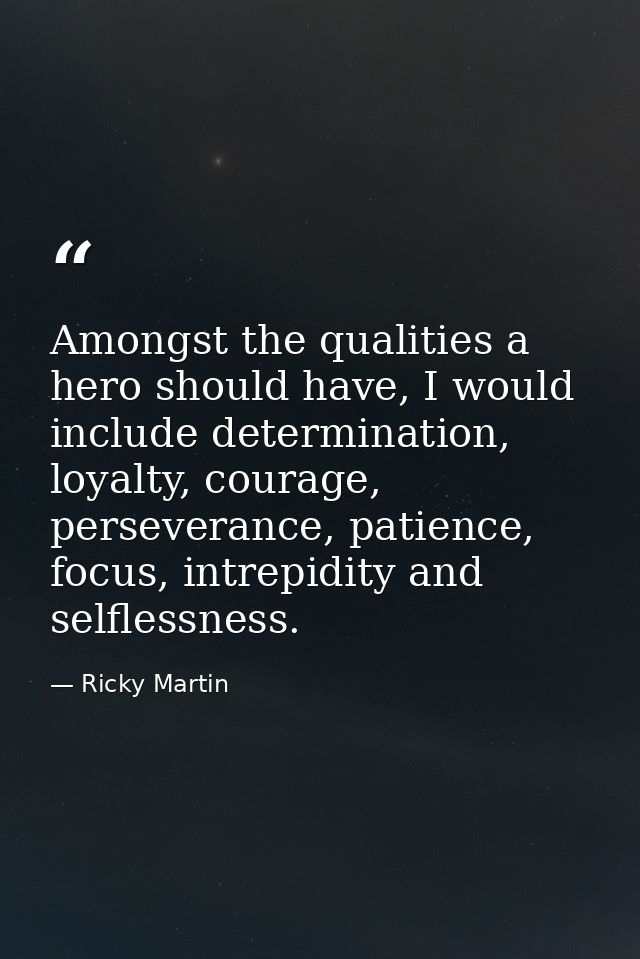 Amongst the qualities a hero should have, I would include determination, loyalty, courage, perseverance, patience, focus — Ricky Martin