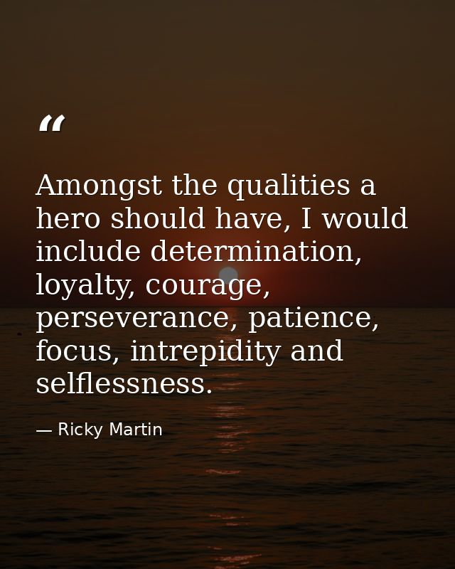 Amongst the qualities a hero should have, I would include determination, loyalty, courage, perseverance, patience, focus — Ricky Martin