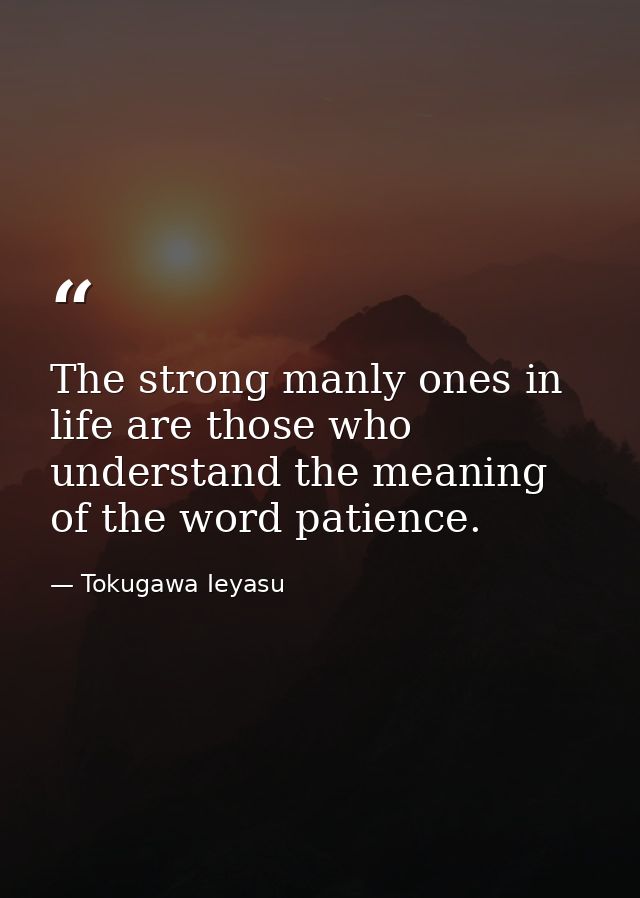 The strong manly ones in life are those who understand the meaning of the word patience. — Tokugawa Ieyasu