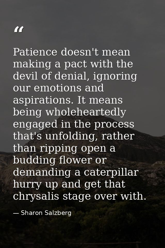 Patience doesn't mean making a pact with the devil of denial, ignoring our emotions and aspirations. It means being whol — Sharon Salzberg