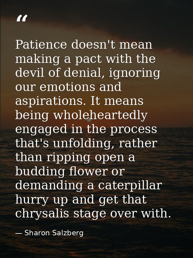 Patience doesn't mean making a pact with the devil of denial, ignoring our emotions and aspirations. It means being whol — Sharon Salzberg