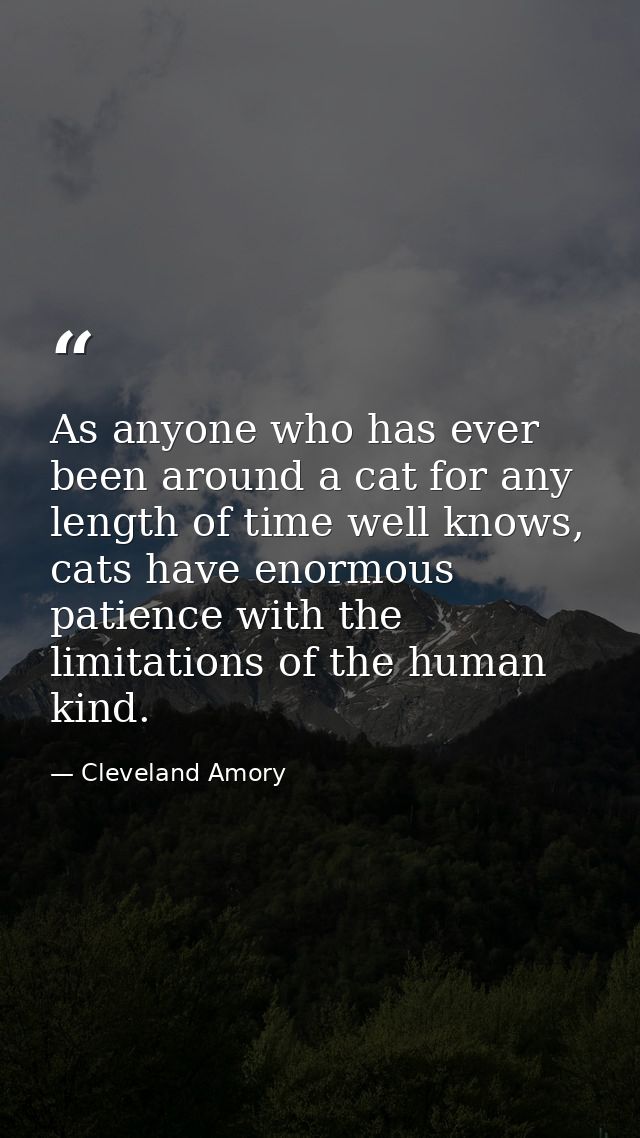 As anyone who has ever been around a cat for any length of time well knows, cats have enormous patience with the limitat — Cleveland Amory