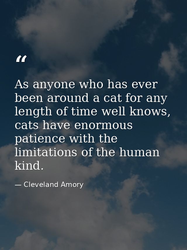 As anyone who has ever been around a cat for any length of time well knows, cats have enormous patience with the limitat — Cleveland Amory