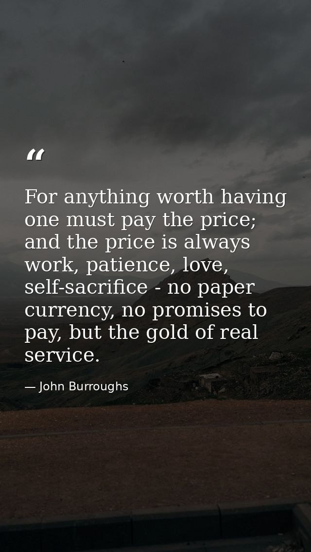 For anything worth having one must pay the price; and the price is always work, patience, love, self-sacrifice - no pape — John Burroughs