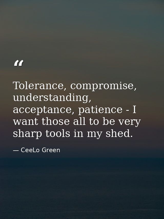 Tolerance, compromise, understanding, acceptance, patience - I want those all to be very sharp tools in my shed. — CeeLo Green