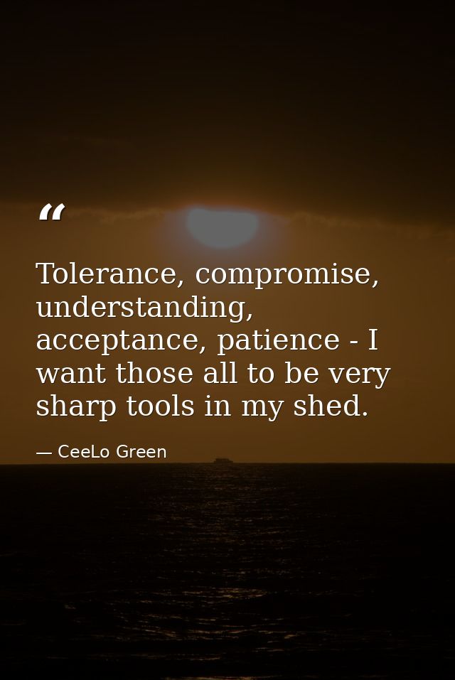 Tolerance, compromise, understanding, acceptance, patience - I want those all to be very sharp tools in my shed. — CeeLo Green