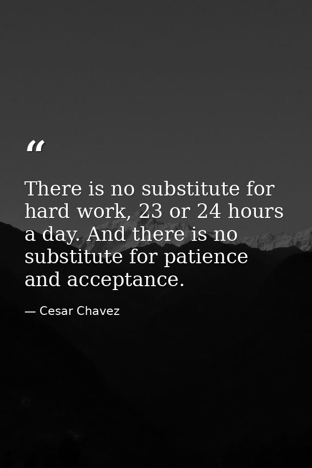 There is no substitute for hard work, 23 or 24 hours a day. And there is no substitute for patience and acceptance. — Cesar Chavez