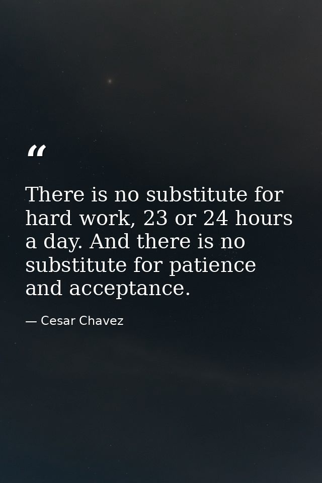 There is no substitute for hard work, 23 or 24 hours a day. And there is no substitute for patience and acceptance. — Cesar Chavez
