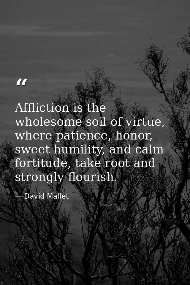 Affliction is the wholesome soil of virtue, where patience, honor, sweet humility, and calm fortitude, take root and str — David Mallet
