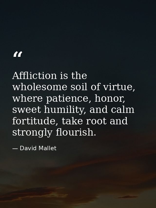 Affliction is the wholesome soil of virtue, where patience, honor, sweet humility, and calm fortitude, take root and str — David Mallet