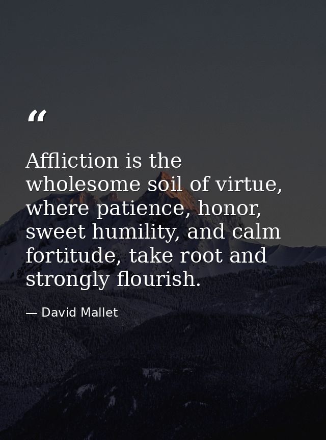 Affliction is the wholesome soil of virtue, where patience, honor, sweet humility, and calm fortitude, take root and str — David Mallet