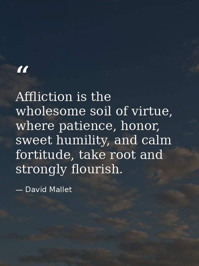 Affliction is the wholesome soil of virtue, where patience, honor, sweet humility, and calm fortitude, take root and str — David Mallet