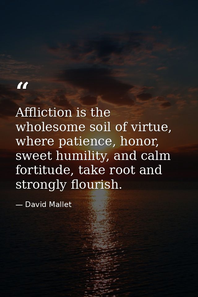 Affliction is the wholesome soil of virtue, where patience, honor, sweet humility, and calm fortitude, take root and str — David Mallet