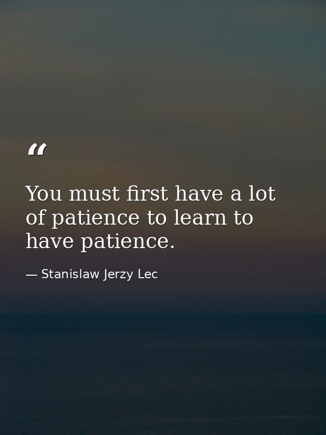 You must first have a lot of patience to learn to have patience. — Stanislaw Jerzy Lec