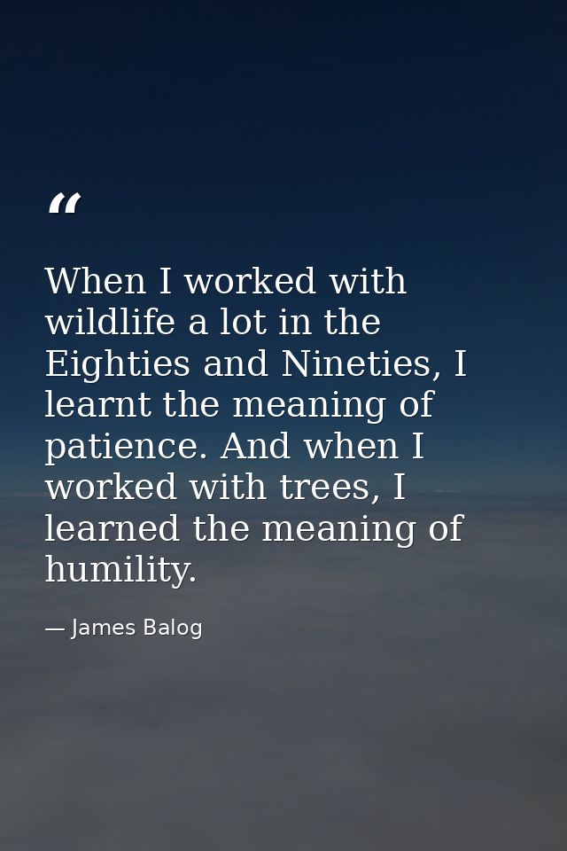 When I worked with wildlife a lot in the Eighties and Nineties, I learnt the meaning of patience. And when I worked with — James Balog