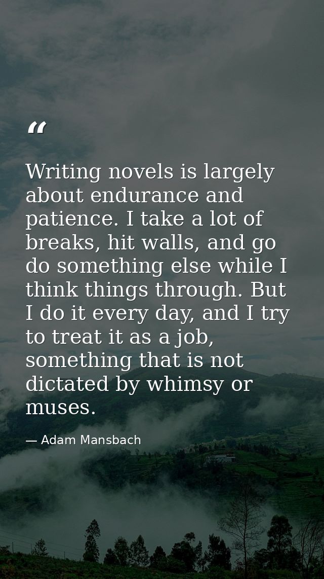 Writing novels is largely about endurance and patience. I take a lot of breaks, hit walls, and go do something else whil — Adam Mansbach