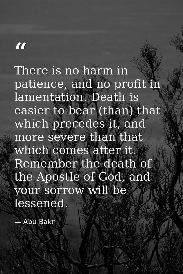 There is no harm in patience, and no profit in lamentation. Death is easier to bear (than) that which precedes it, and m — Abu Bakr