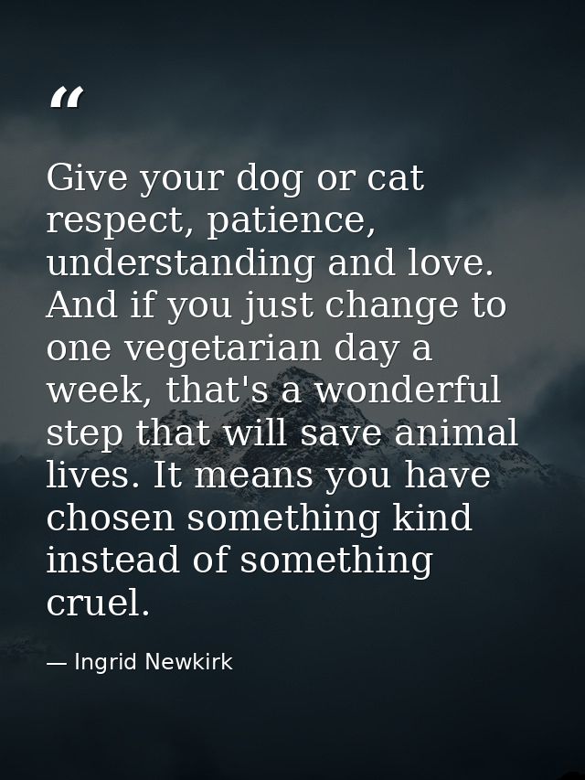 Give your dog or cat respect, patience, understanding and love. And if you just change to one vegetarian day a week, tha — Ingrid Newkirk
