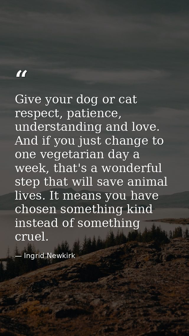 Give your dog or cat respect, patience, understanding and love. And if you just change to one vegetarian day a week, tha — Ingrid Newkirk