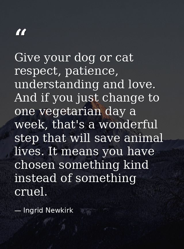 Give your dog or cat respect, patience, understanding and love. And if you just change to one vegetarian day a week, tha — Ingrid Newkirk
