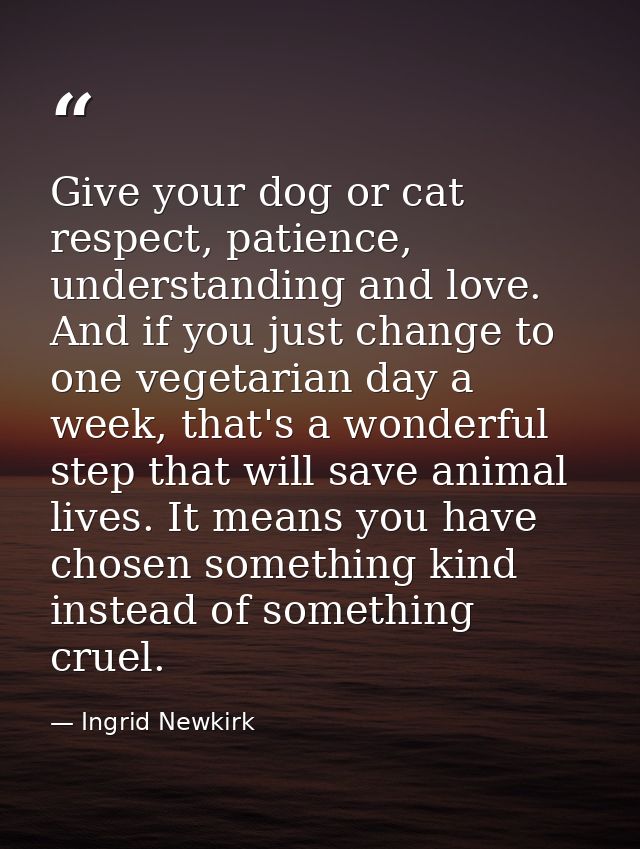 Give your dog or cat respect, patience, understanding and love. And if you just change to one vegetarian day a week, tha — Ingrid Newkirk