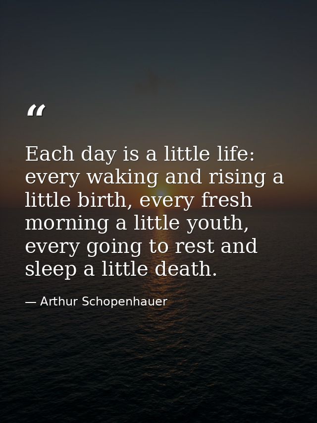 Each day is a little life: every waking and rising a little birth, every fresh morning a little youth, every going to re — Arthur Schopenhauer