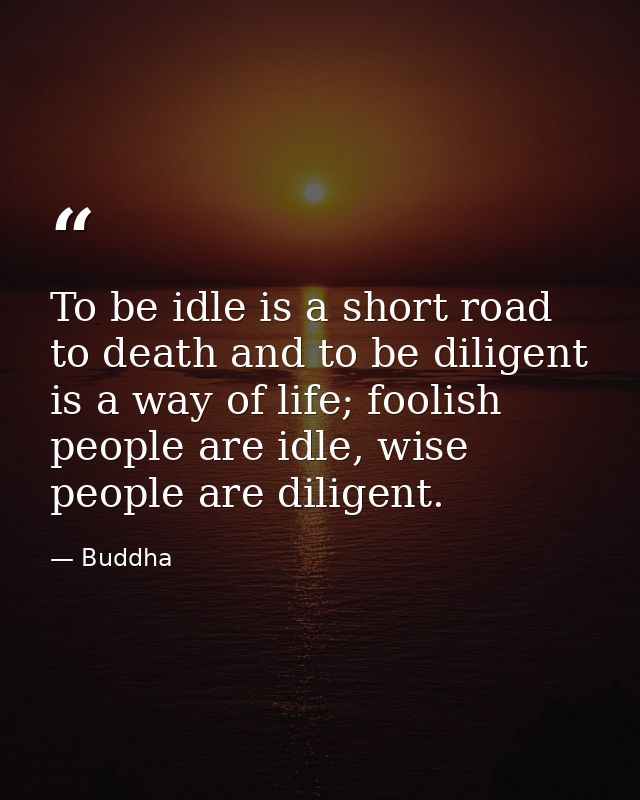 To be idle is a short road to death and to be diligent is a way of life; foolish people are idle, wise people are dilige — Buddha