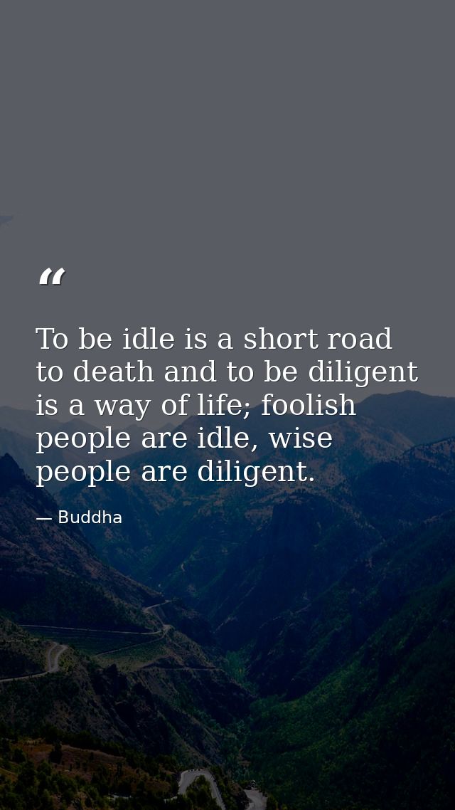 To be idle is a short road to death and to be diligent is a way of life; foolish people are idle, wise people are dilige — Buddha