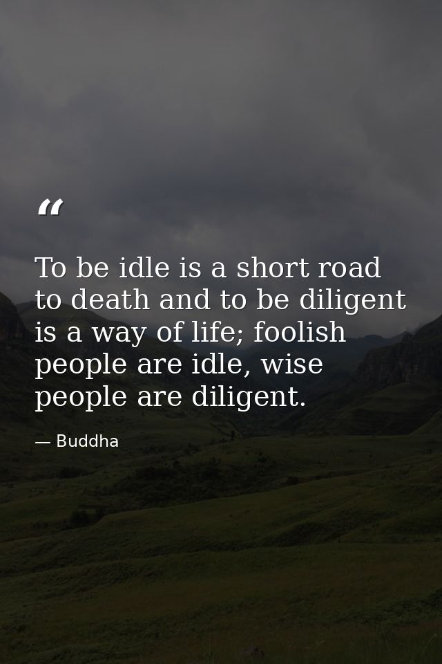 To be idle is a short road to death and to be diligent is a way of life; foolish people are idle, wise people are dilige — Buddha