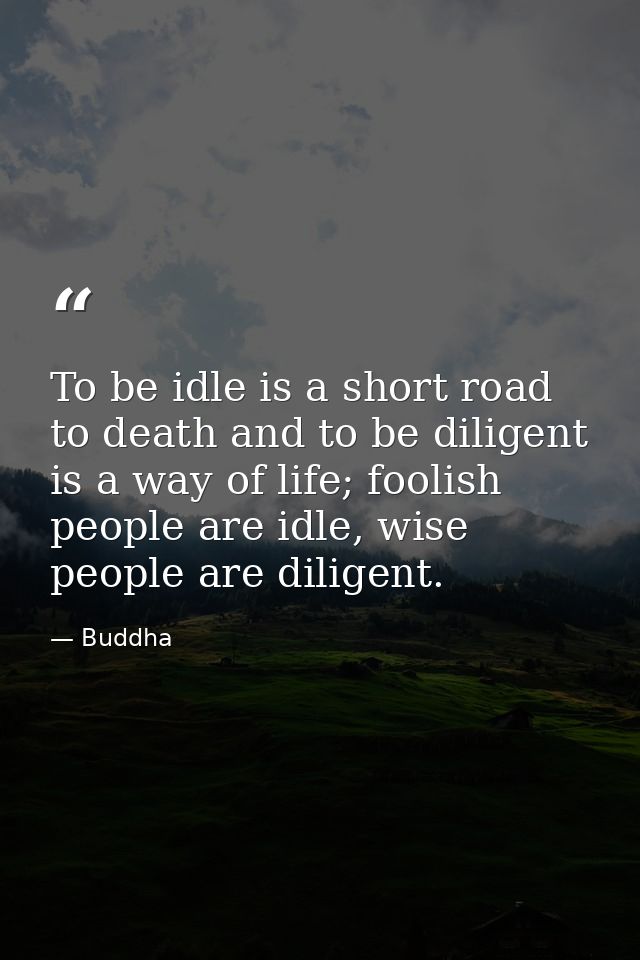 To be idle is a short road to death and to be diligent is a way of life; foolish people are idle, wise people are dilige — Buddha