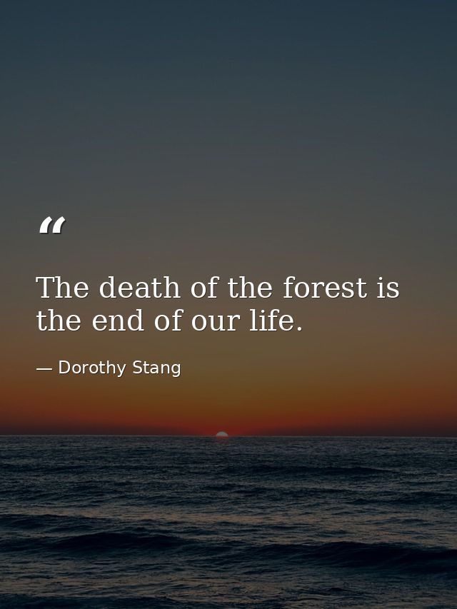 The death of the forest is the end of our life. — Dorothy Stang