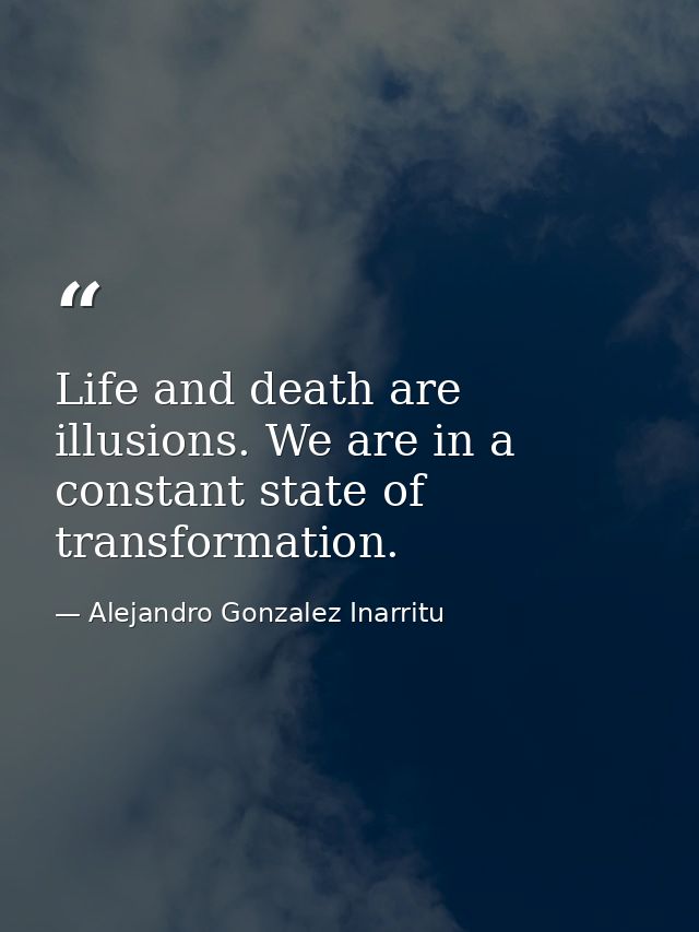 Life and death are illusions. We are in a constant state of transformation. — Alejandro Gonzalez Inarritu