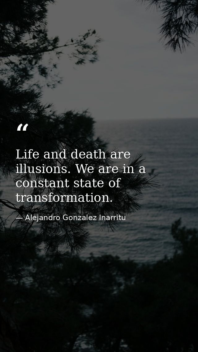 Life and death are illusions. We are in a constant state of transformation. — Alejandro Gonzalez Inarritu