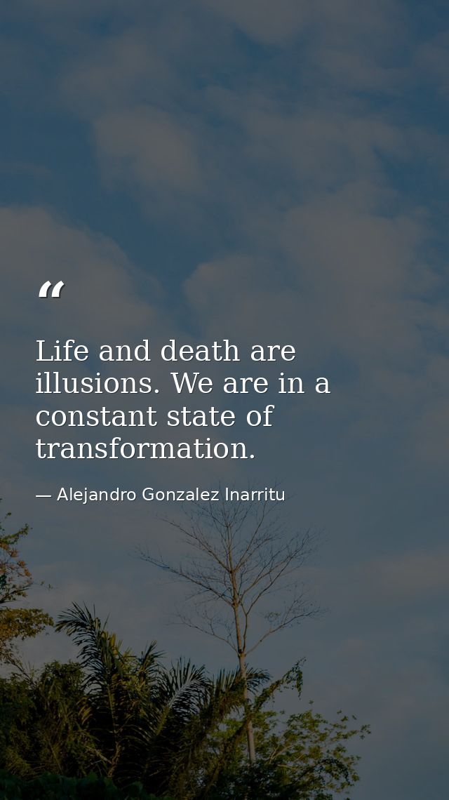 Life and death are illusions. We are in a constant state of transformation. — Alejandro Gonzalez Inarritu