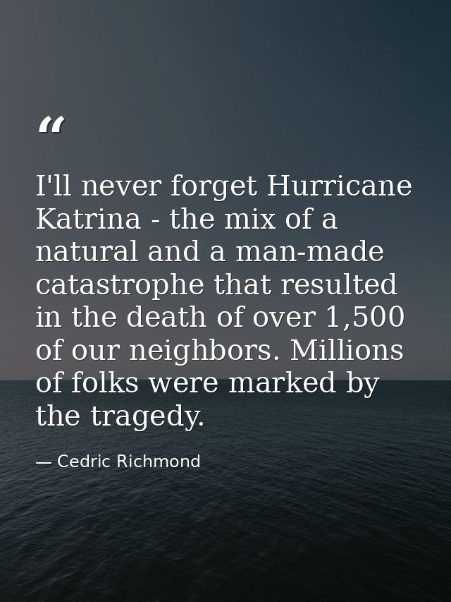I'll never forget Hurricane Katrina - the mix of a natural and a man-made catastrophe that resulted in the death of over — Cedric Richmond